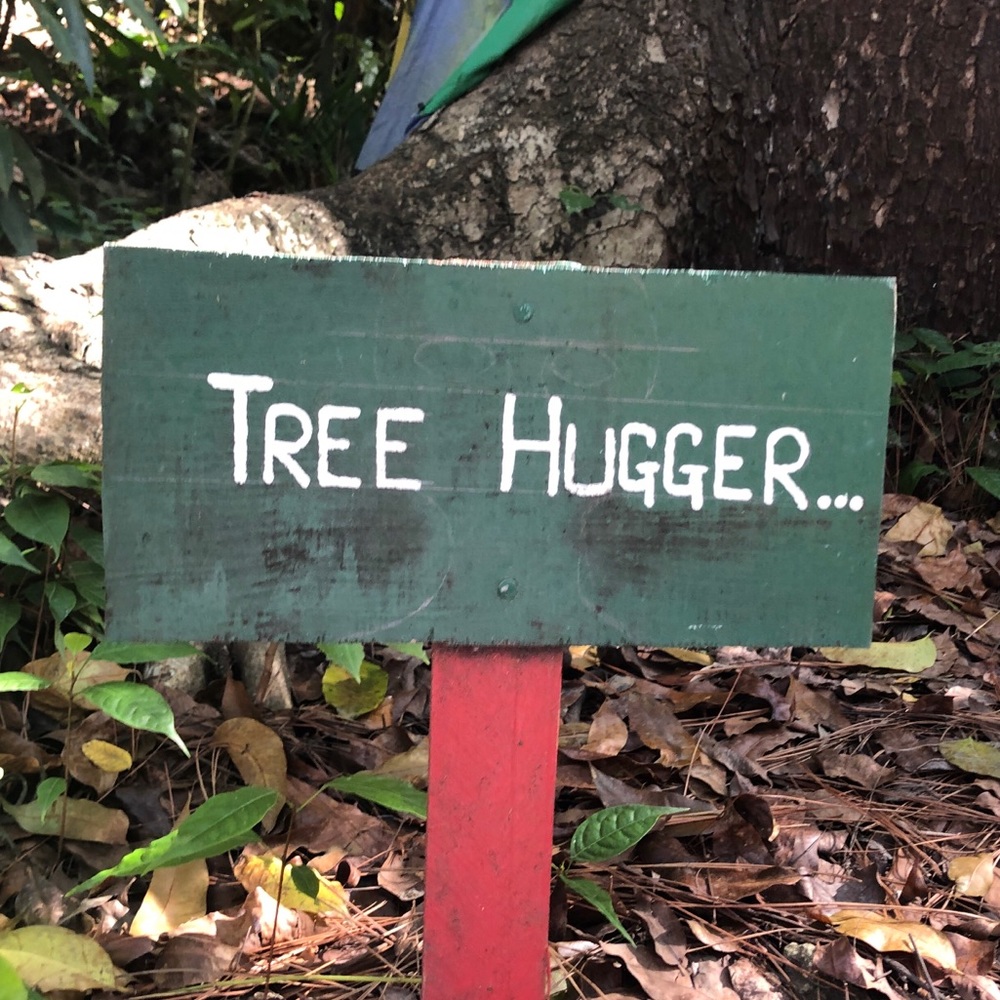 Meet your Posher, Fiona